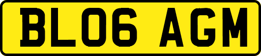 BL06AGM