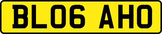 BL06AHO