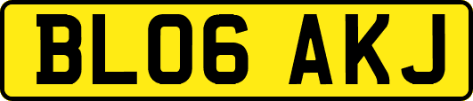 BL06AKJ