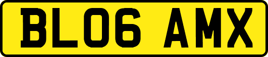 BL06AMX