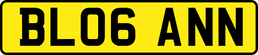 BL06ANN