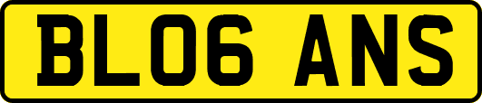 BL06ANS