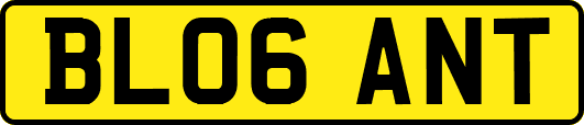 BL06ANT