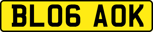 BL06AOK