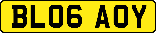 BL06AOY