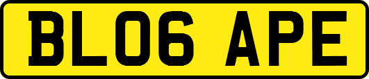BL06APE