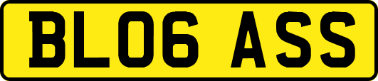 BL06ASS