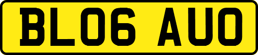 BL06AUO