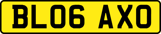BL06AXO
