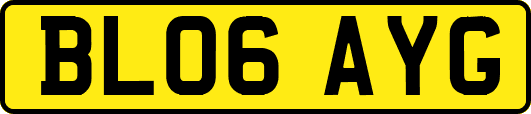 BL06AYG