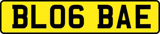 BL06BAE