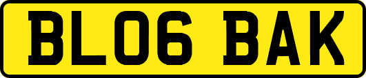 BL06BAK