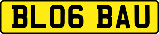BL06BAU