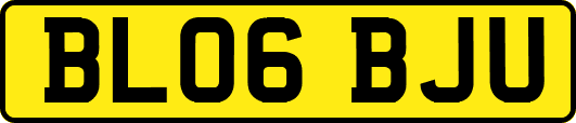 BL06BJU