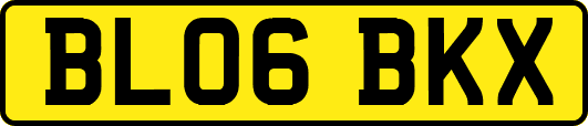 BL06BKX