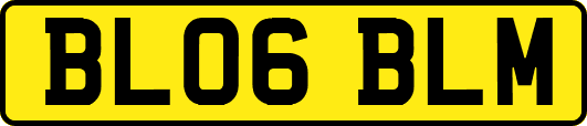 BL06BLM