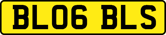 BL06BLS