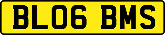 BL06BMS