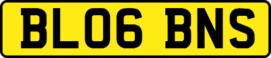 BL06BNS