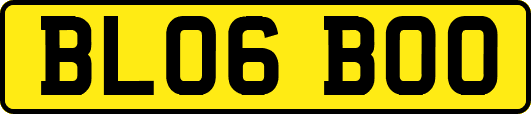 BL06BOO