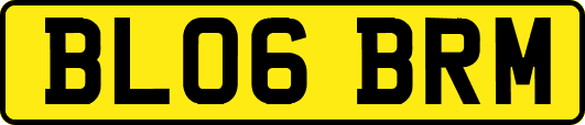 BL06BRM