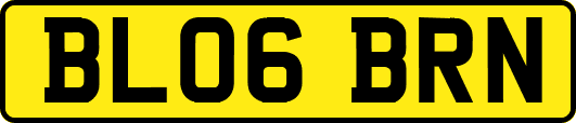 BL06BRN