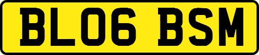 BL06BSM