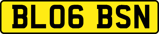 BL06BSN