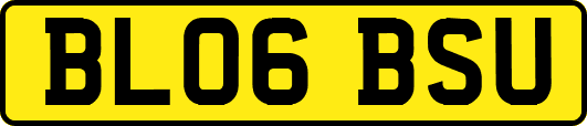 BL06BSU