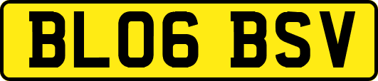 BL06BSV