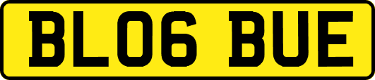 BL06BUE