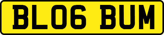 BL06BUM