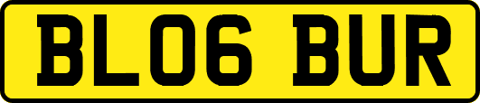 BL06BUR