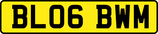 BL06BWM