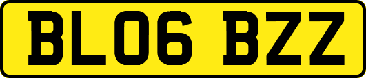 BL06BZZ