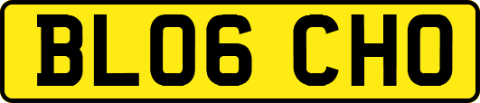 BL06CHO