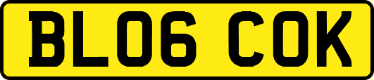 BL06COK
