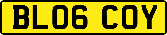 BL06COY