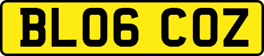 BL06COZ
