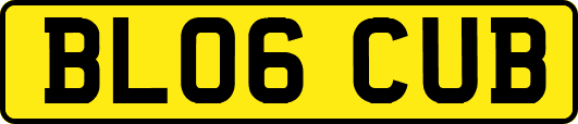 BL06CUB