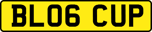 BL06CUP