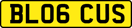 BL06CUS