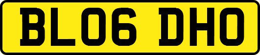 BL06DHO