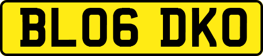 BL06DKO