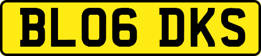 BL06DKS