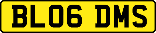 BL06DMS