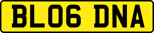 BL06DNA
