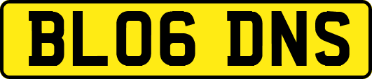 BL06DNS