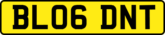 BL06DNT