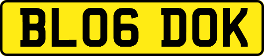 BL06DOK
